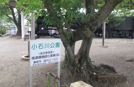 Kiyomita Park