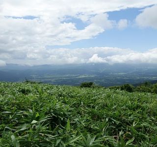 Mt. Hiruzen