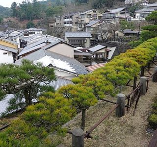 Ryuzen no Matsu
