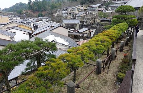 Ryuzen no Matsu
