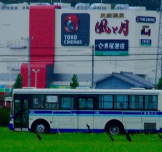 Hamamatsu Bus