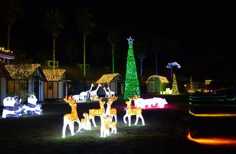 Hamamatsu Fruit Park Tokinosumika