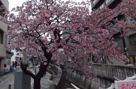 Itokawa Path