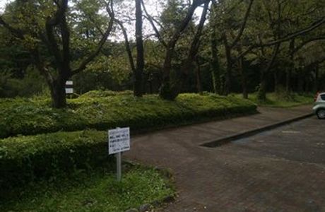 Inokashira Park