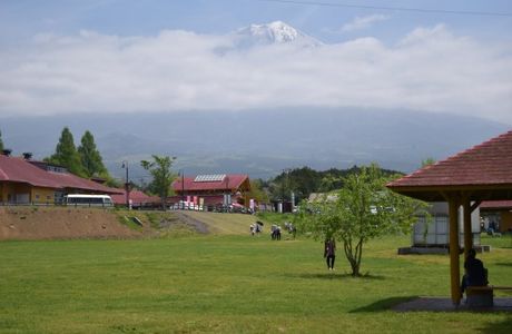 Fuji Milk Land