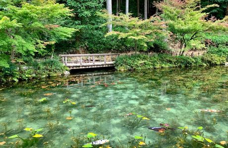 Hatago Pond