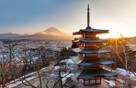 Fujisan Dragon Tower