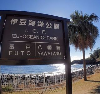 Izu Oceanic Park Diving Center - I.O.P.