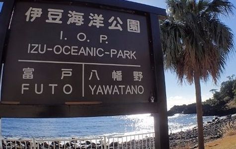 Izu Oceanic Park Diving Center - I.O.P. 1