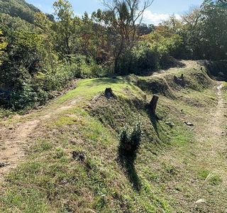 Nirayama Castle Ruins