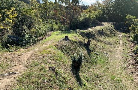 Nirayama Castle Ruins