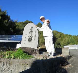 Toyooka Plum Garden