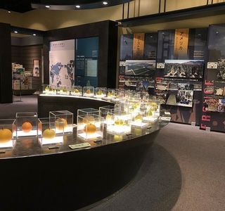 Pear Museum