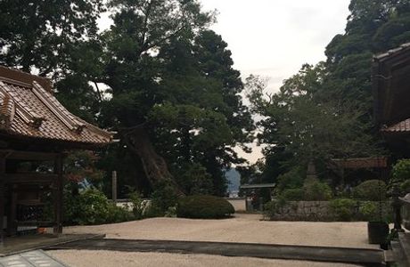 Dokoji Temple