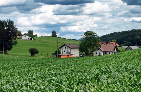Natural Farm