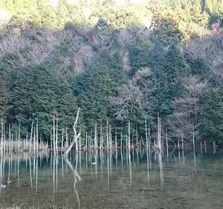 Ichinomatasakura Park