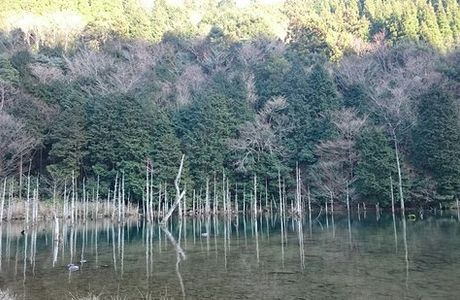 Ichinomatasakura Park