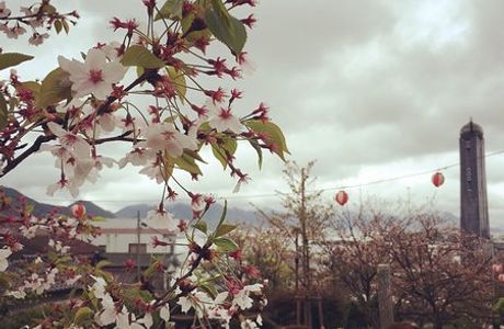 Hiyoriyama Park