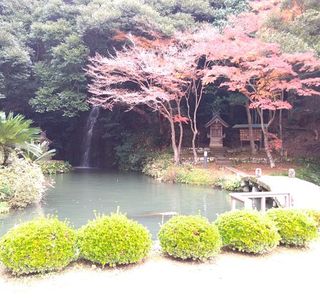 Izumo Taisha Kitajima Kokusokan