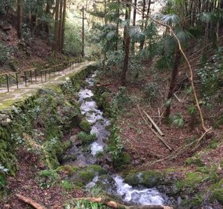 Otome Mountain Path Maria Cathedral