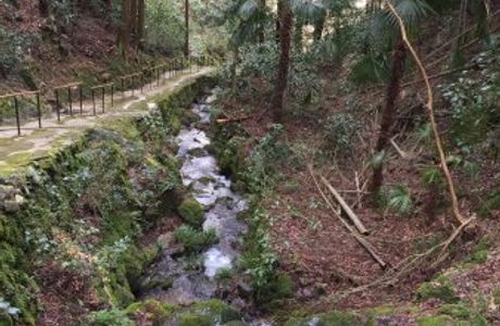 Otome Mountain Path Maria Cathedral