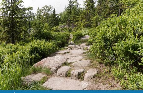 Nature Environment Park