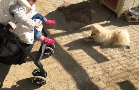 Shibukawa Zoo