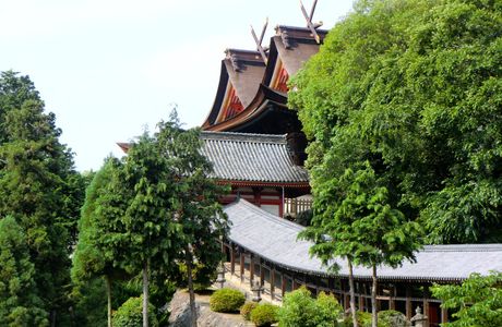 Fuse Shrine