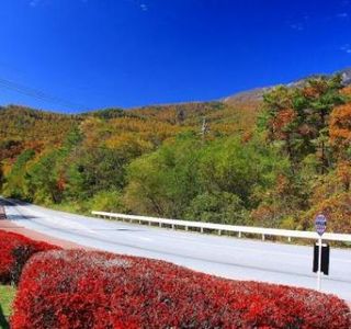 Yatsugatake Kogen Line