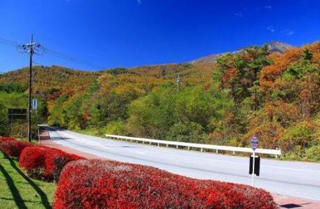 Yatsugatake Kogen Line