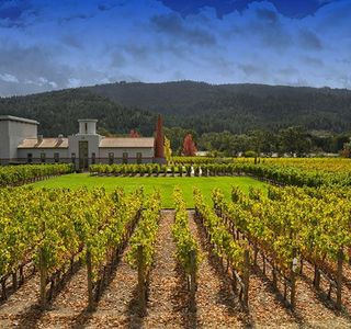 Asaya Winery