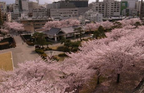 Yamanashi Kotsu