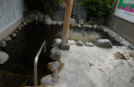 Tortoise Onsen