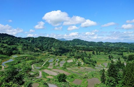Home Home Niigata