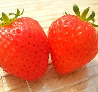 Gourmet Strawberry Kan Maeda