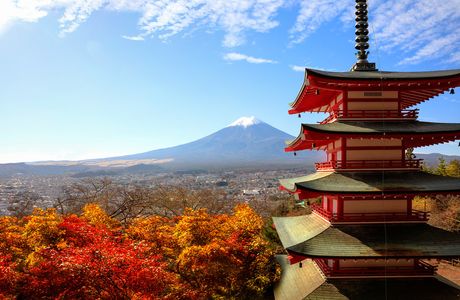 Fujisan Farm