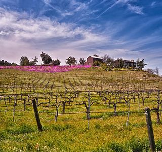 Lumiere Winery