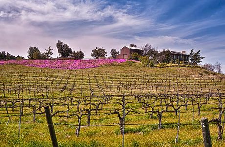Lumiere Winery