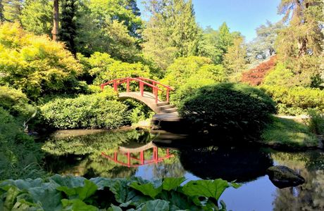 Kubota Gardens