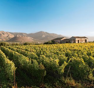 Kizan Winery