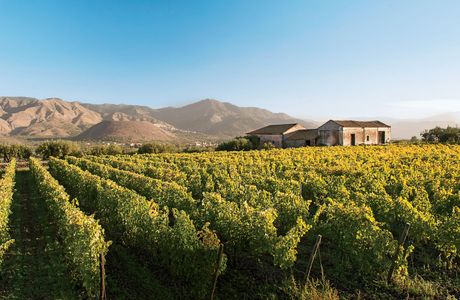 Kizan Winery