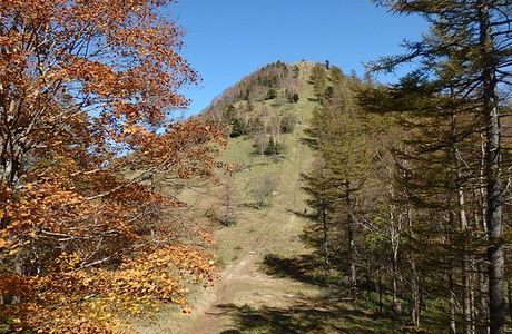 Mt. Kasatoriyama