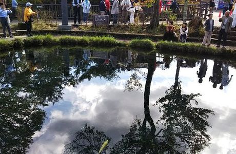 Waku Pond