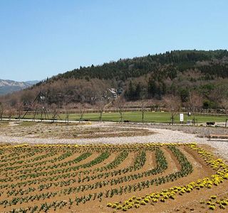 Hanano Miyako Park Furara