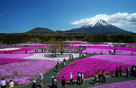 Motosuko Lake