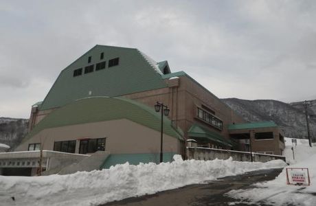 Nozawa Onsen Spa Arena