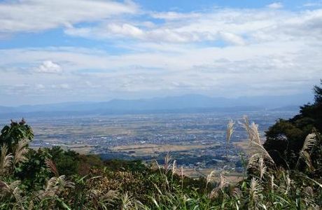Yahiko Skyline