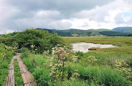 Yashimagahara Marsh