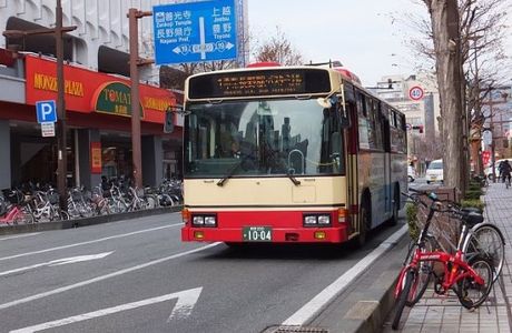 Nagaden Bus