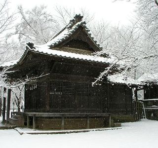 Mt. Saijosan
